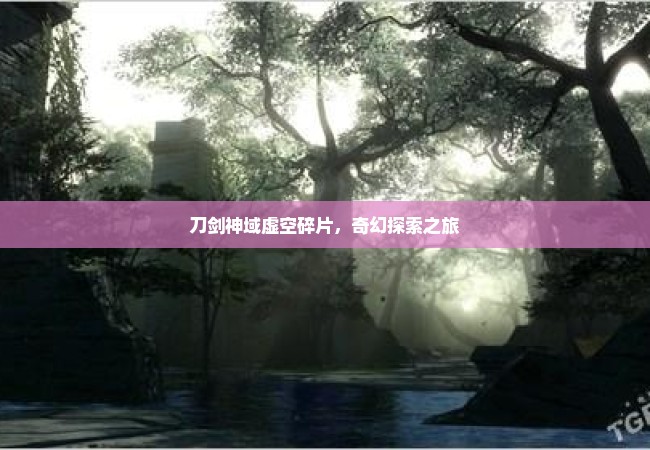 刀剑神域虚空碎片，奇幻探索之旅