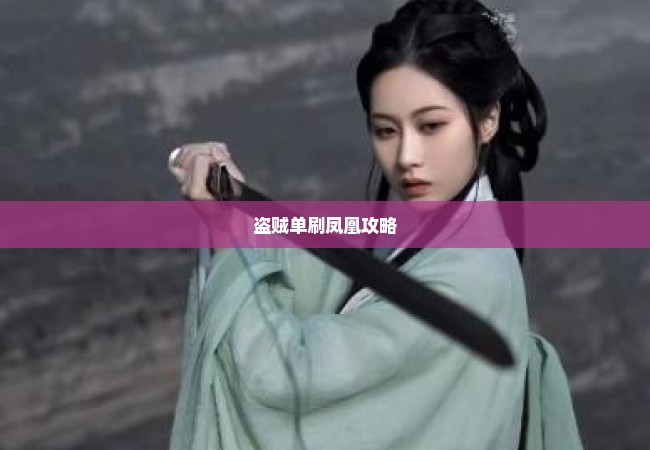 盗贼单刷凤凰攻略