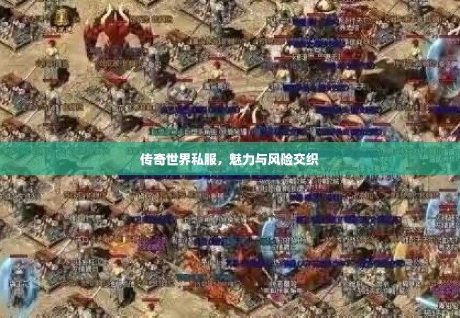 传奇世界私服，魅力与风险交织