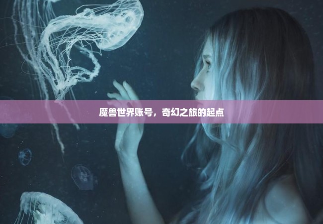 魔兽世界账号，奇幻之旅的起点