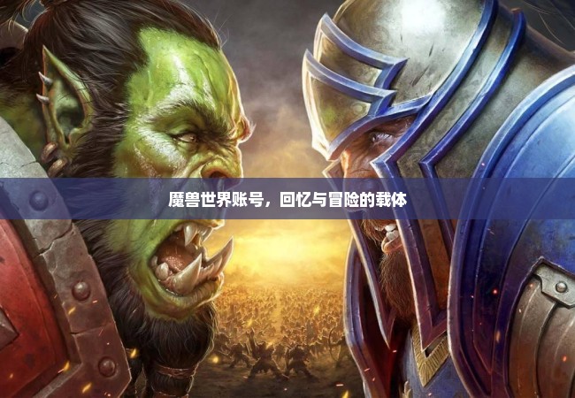 魔兽世界账号，回忆与冒险的载体
