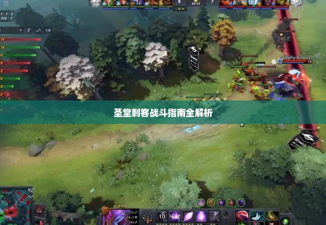 圣堂刺客战斗指南全解析