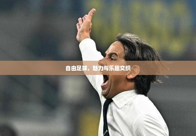 自由足球，魅力与乐趣交织