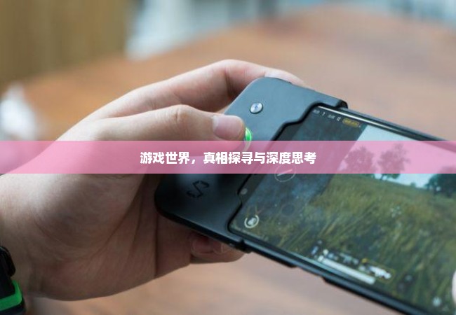 游戏世界，真相探寻与深度思考