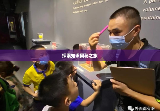 探索知识奥秘之旅