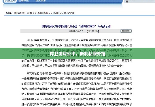 捍卫游戏公平，抵制私服外挂