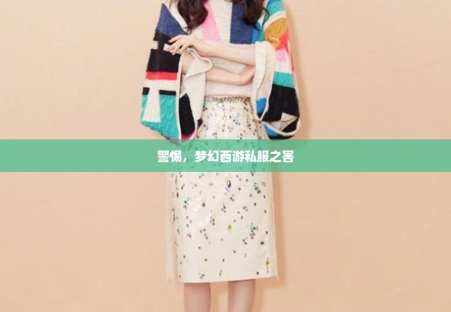 警惕，梦幻西游私服之害