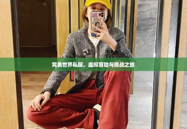 完美世界私服，虚拟冒险与挑战之旅