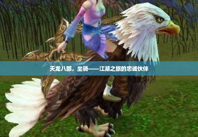 天龙八部，坐骑——江湖之旅的忠诚伙伴