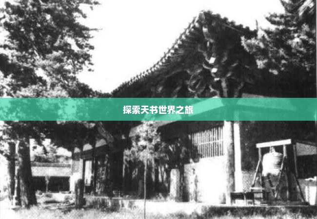 探索天书世界之旅