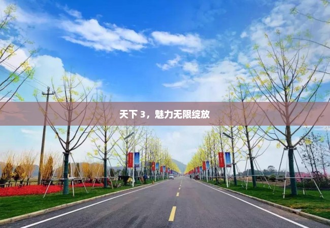 天下 3，魅力无限绽放