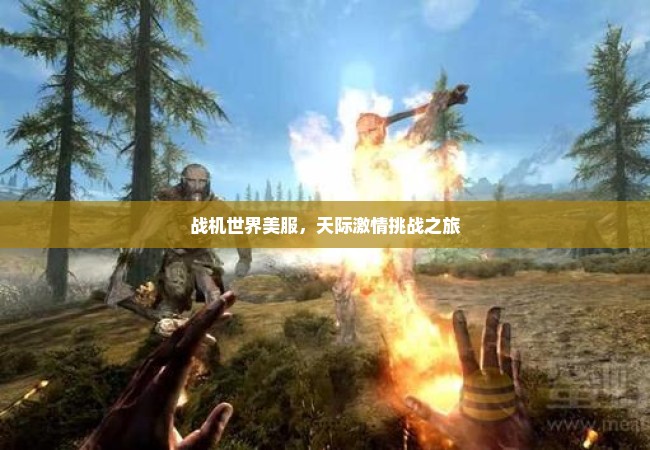 战机世界美服，天际激情挑战之旅