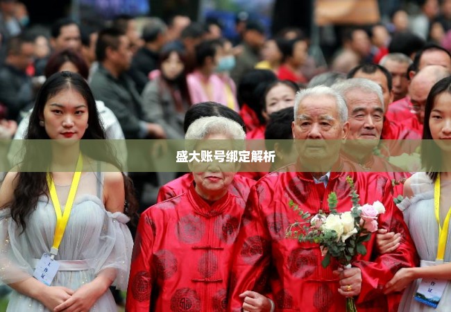 盛大账号绑定解析