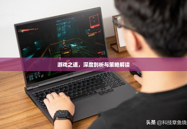 游戏之道，深度剖析与策略解读