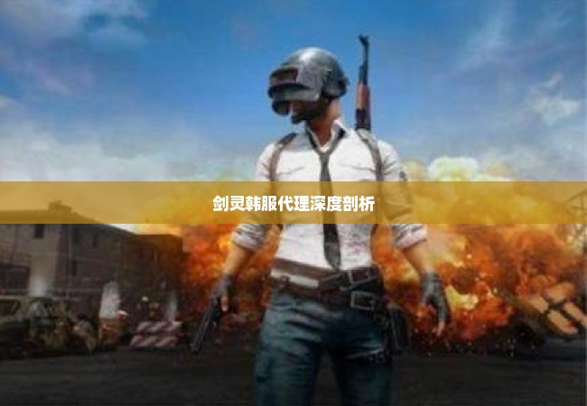 剑灵韩服代理深度剖析