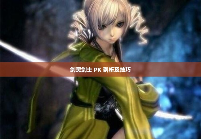 剑灵剑士 PK 剖析及技巧