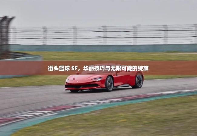 街头篮球 SF，华丽技巧与无限可能的绽放