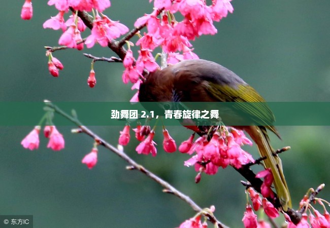 劲舞团 2.1，青春旋律之舞