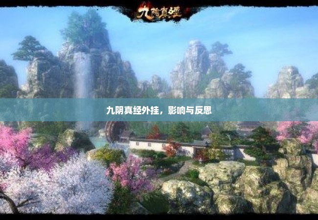 九阴真经外挂，影响与反思