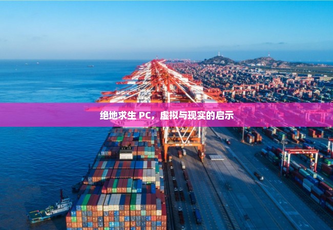 绝地求生 PC，虚拟与现实的启示