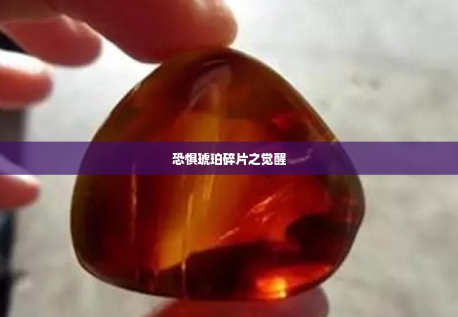恐惧琥珀碎片之觉醒