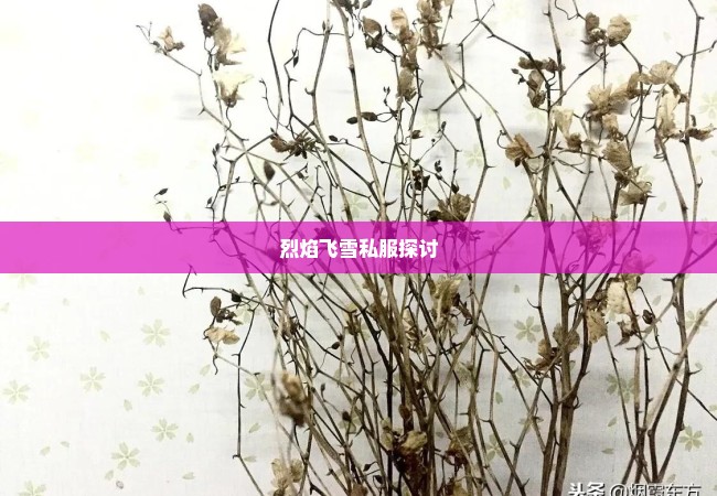 烈焰飞雪私服探讨
