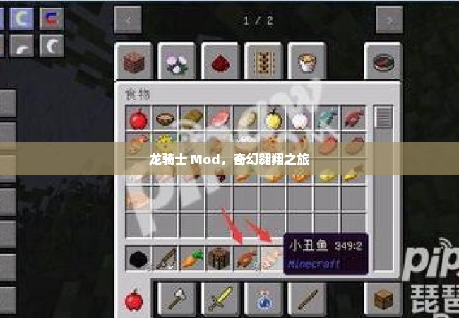 龙骑士 Mod，奇幻翱翔之旅