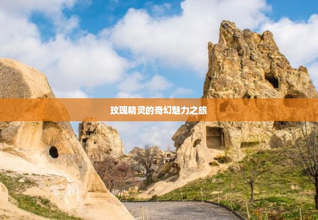 玫瑰精灵的奇幻魅力之旅